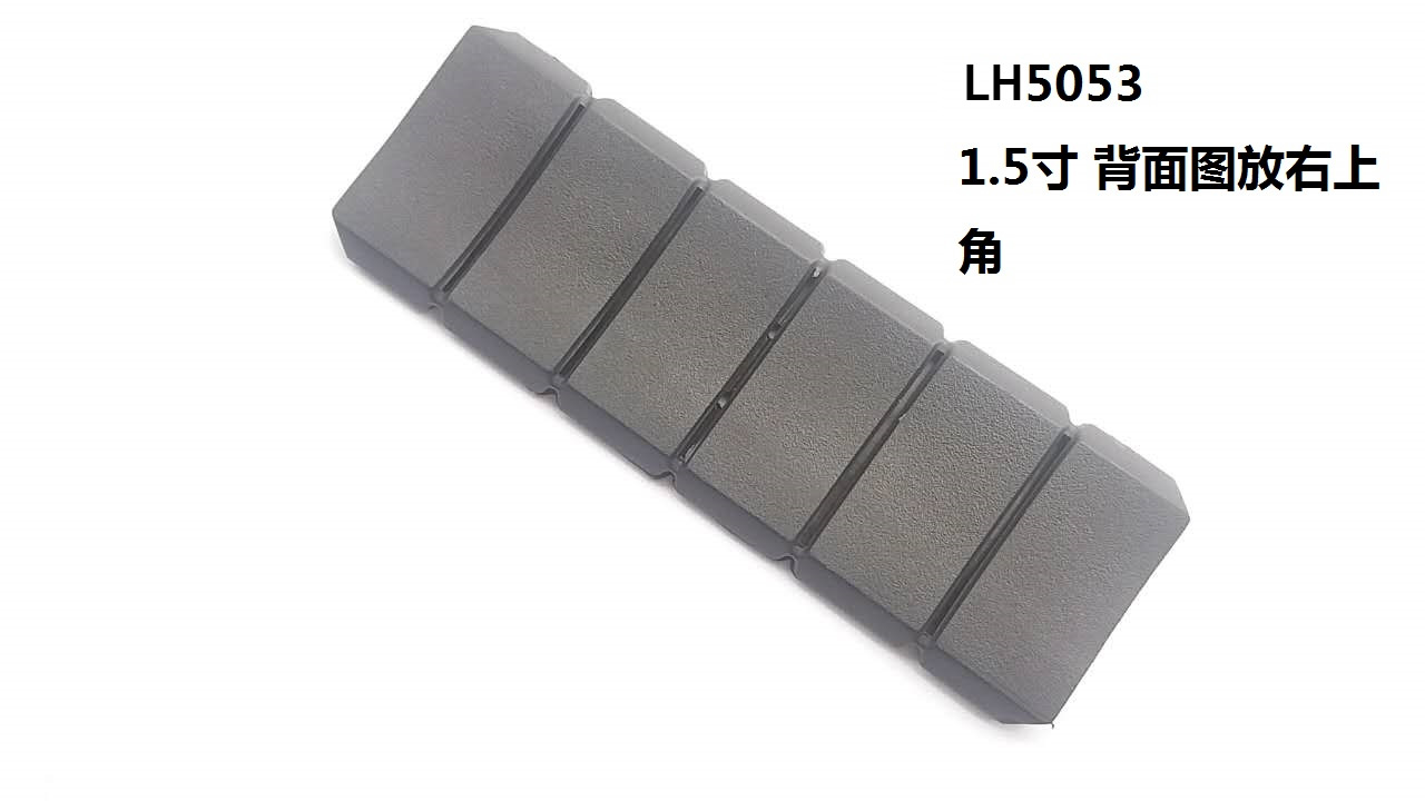 LH5053 1.5寸 背麵