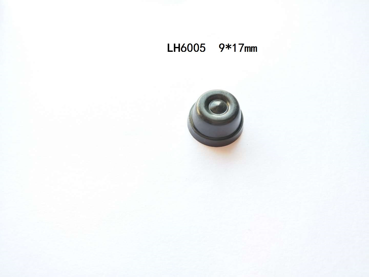 LH6005 泡釘