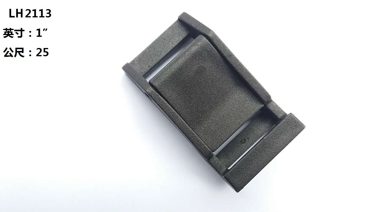 LH2113